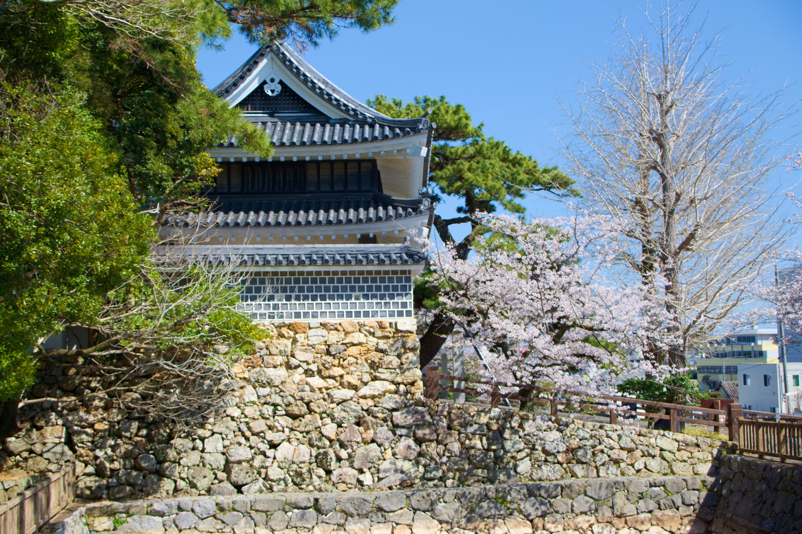 田原城址・巴江神社の桜１