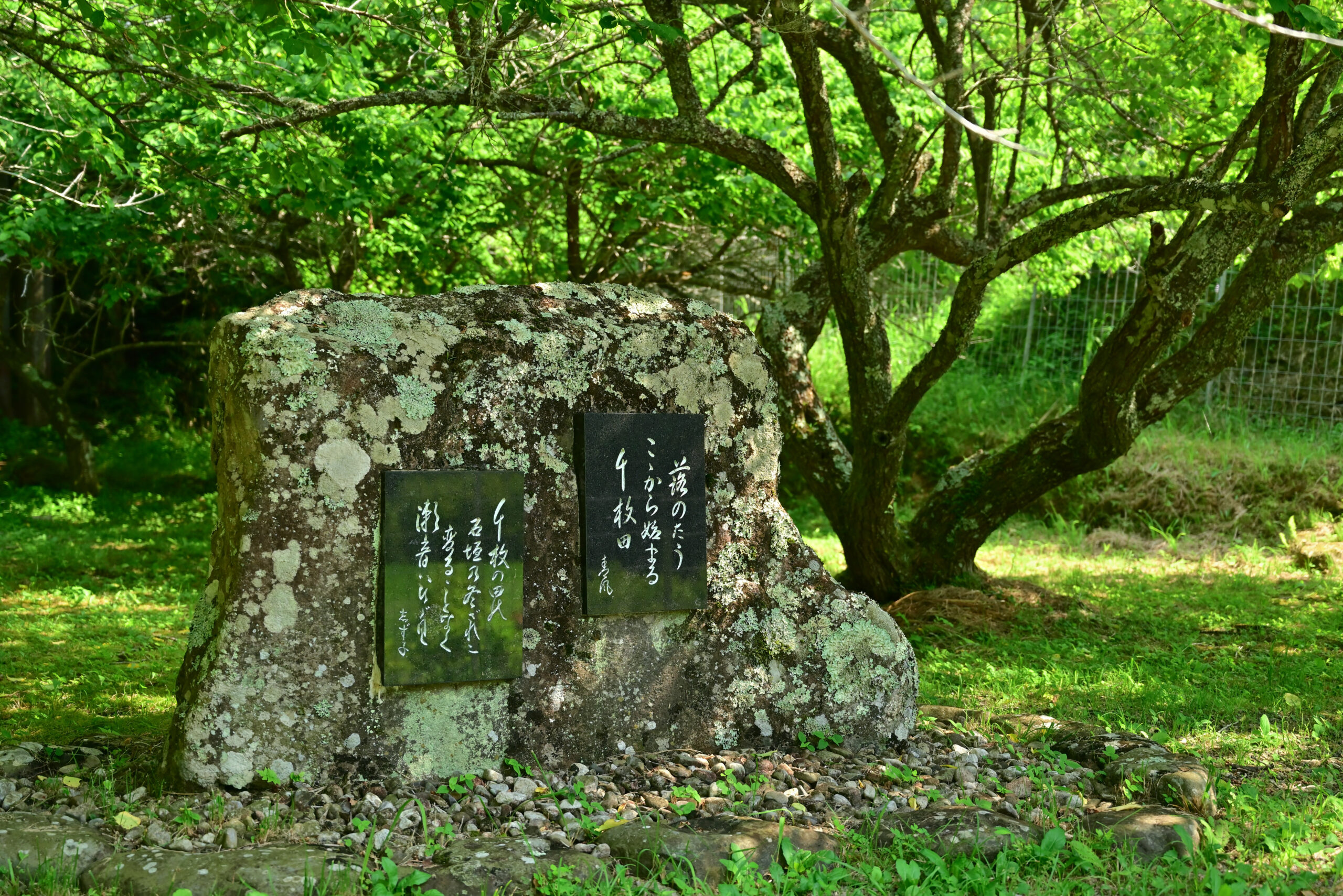 四谷の千枚田、石碑