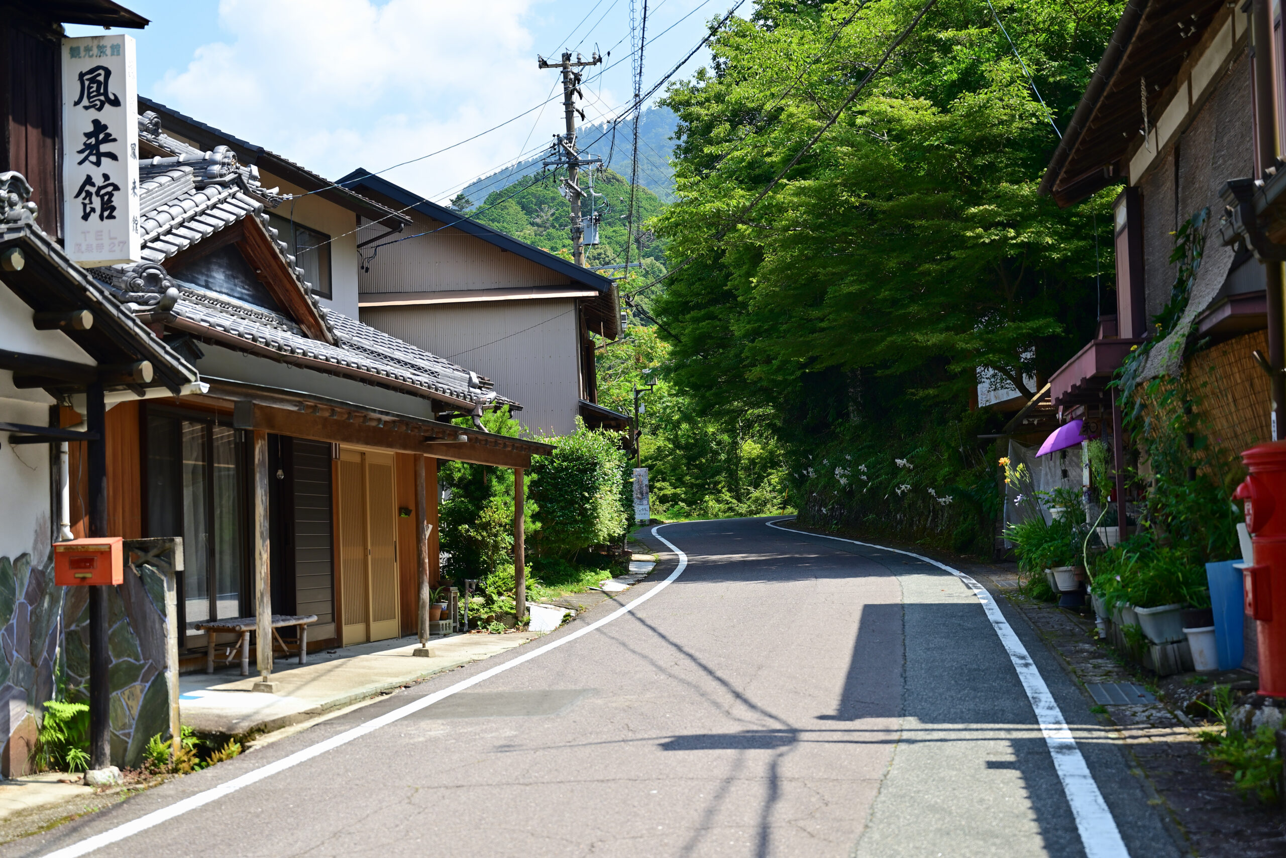 鳳来寺山表参道1