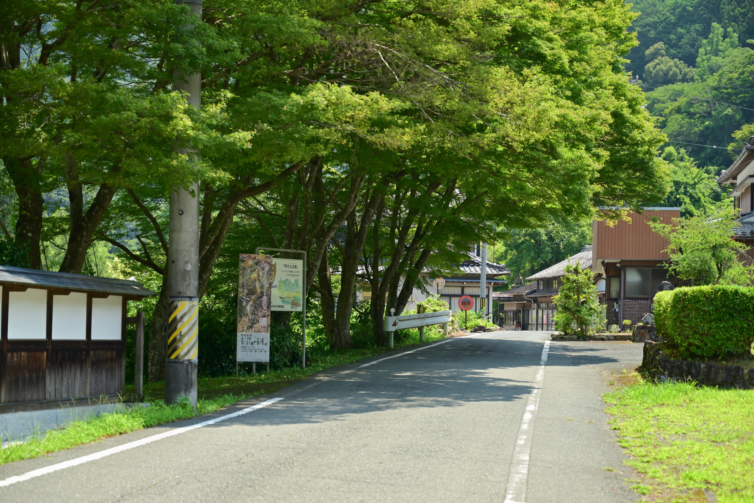 鳳来寺山表参道2