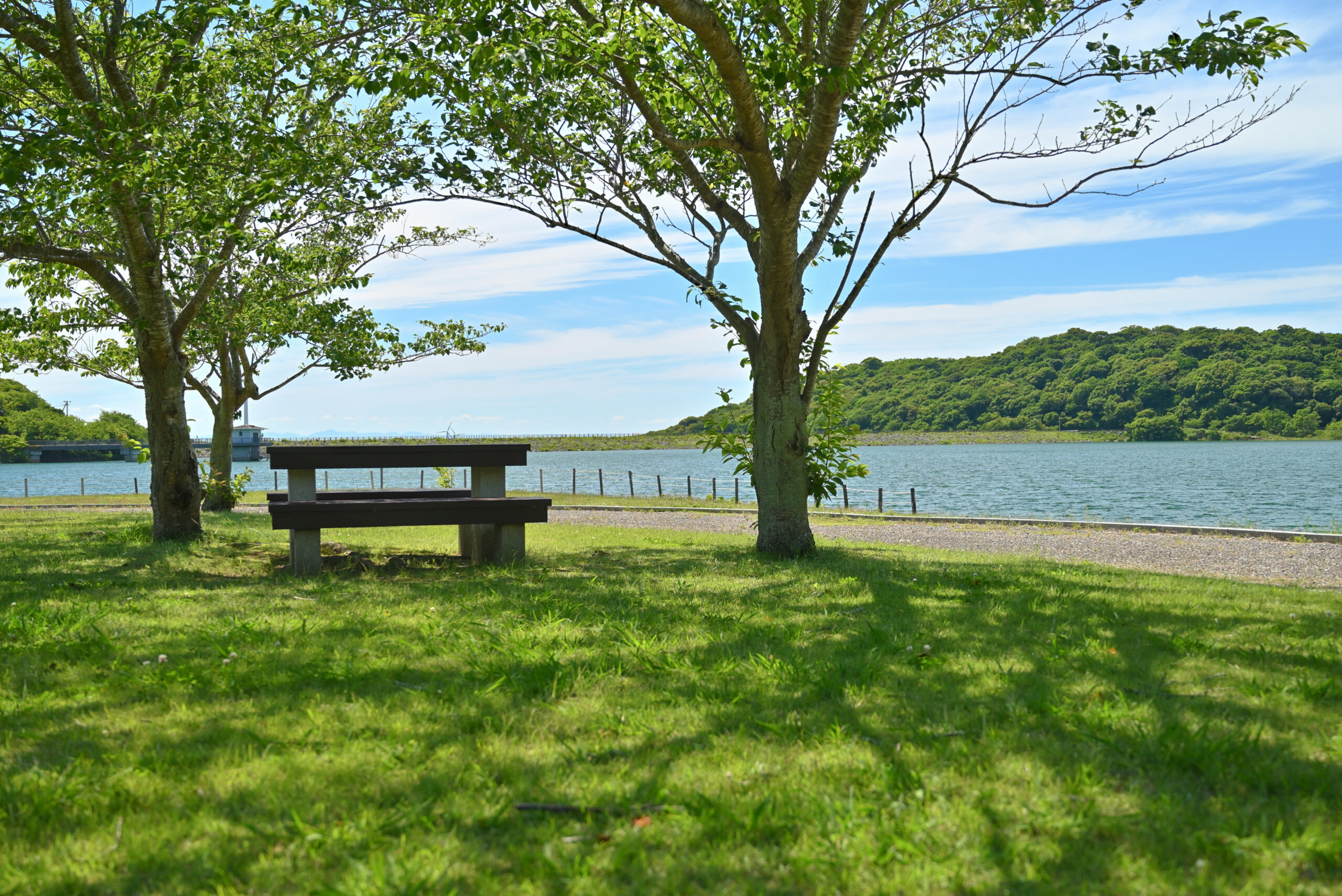 初立池公園