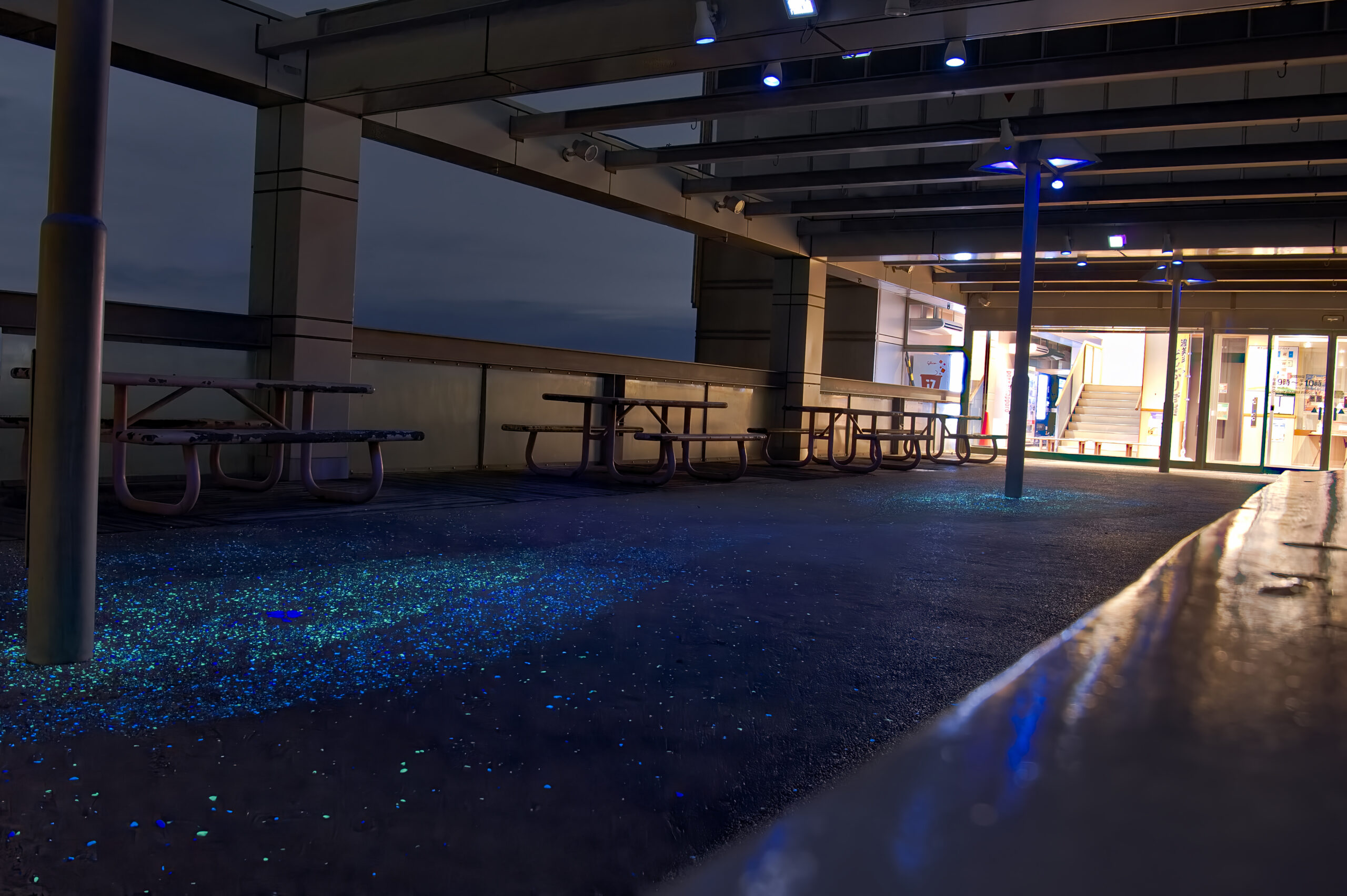 蔵王山の夜景と光り輝く床