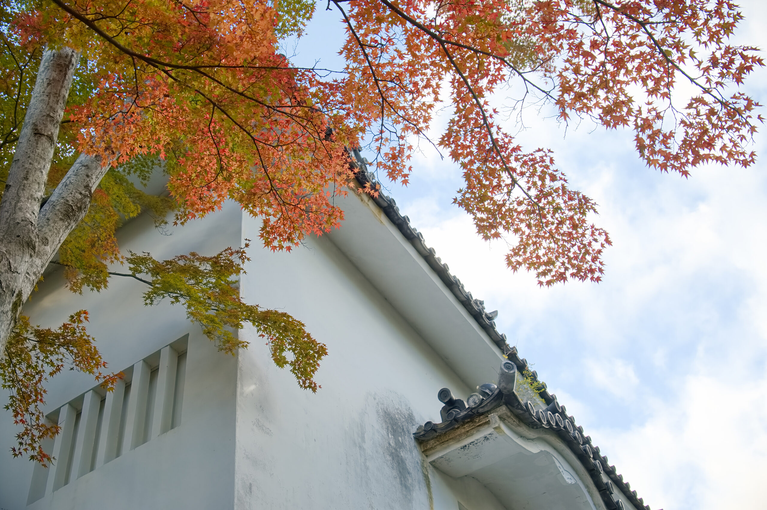 田原市と田原城博物館の紅葉３