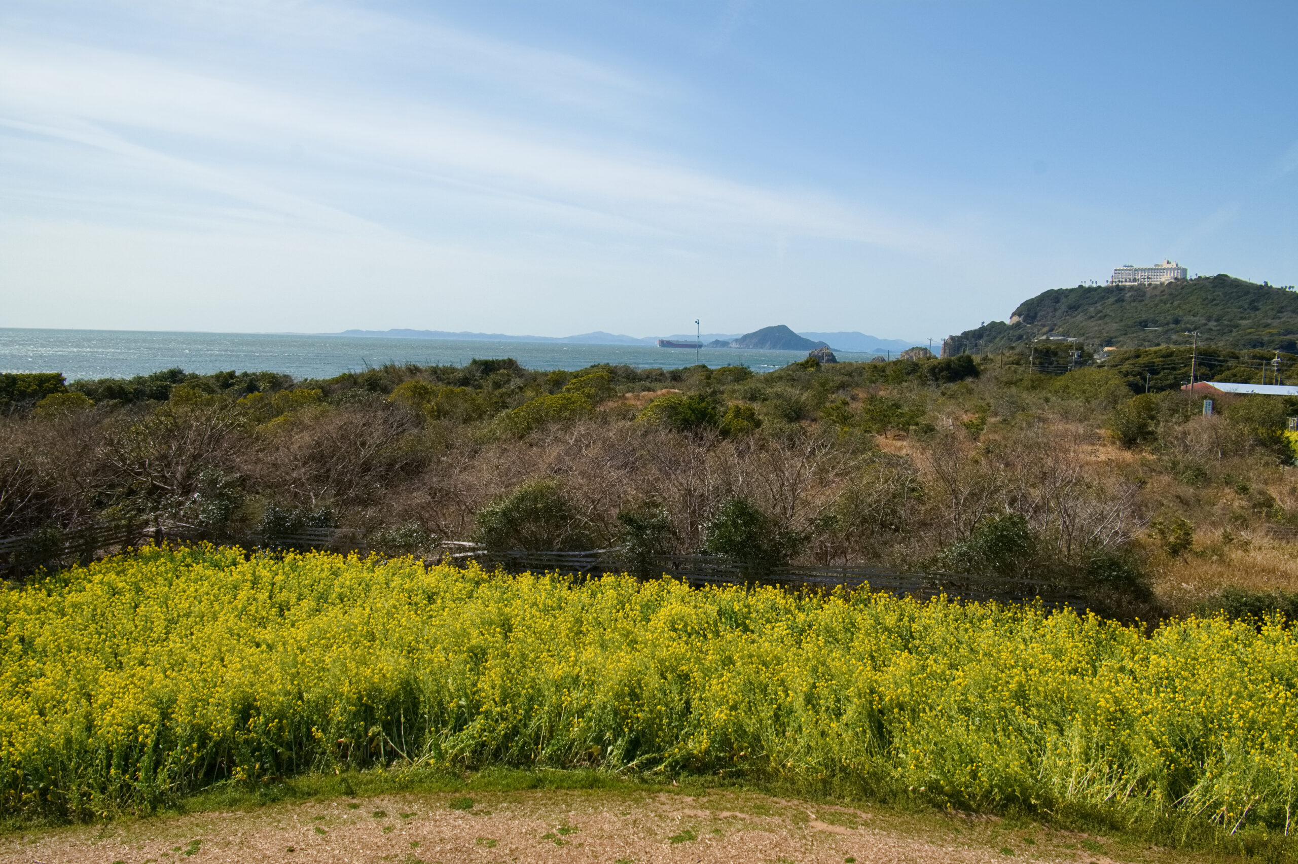 伊良湖菜の花ガーデンから見る太平洋