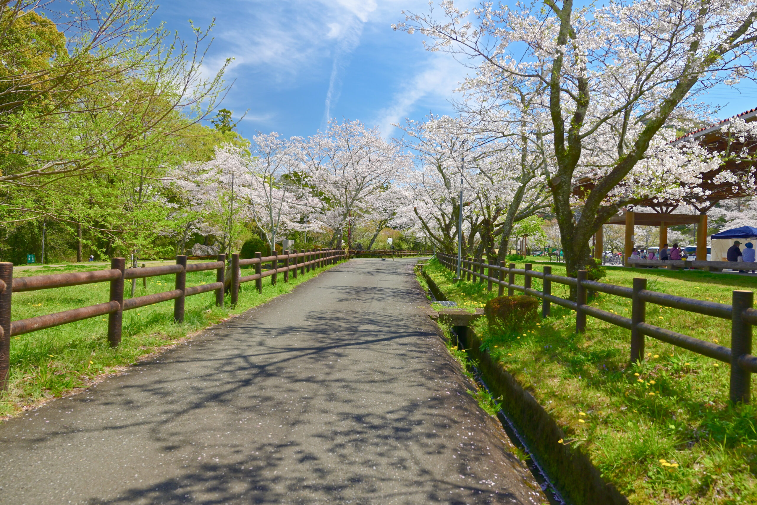 新城市・桜淵公園広場