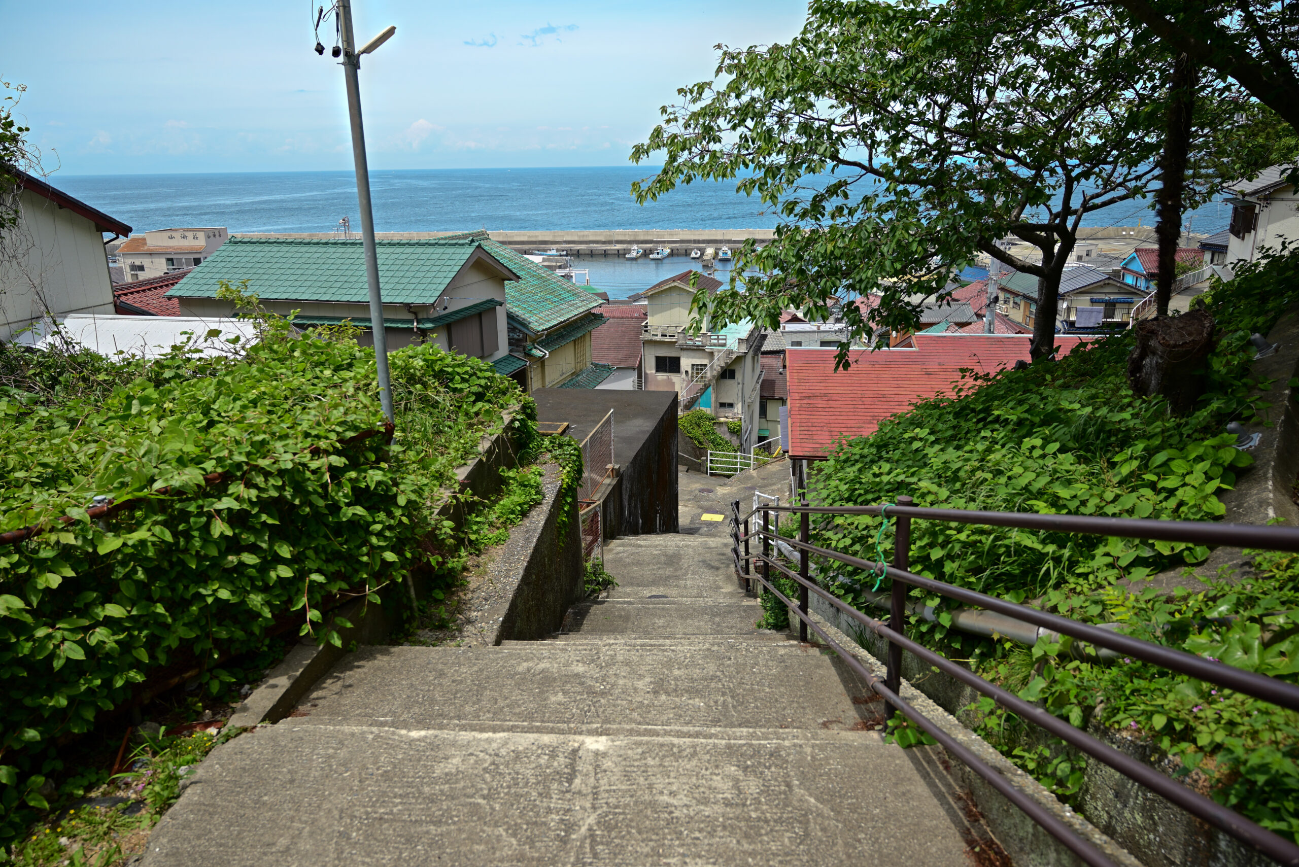 神島から望める漁港