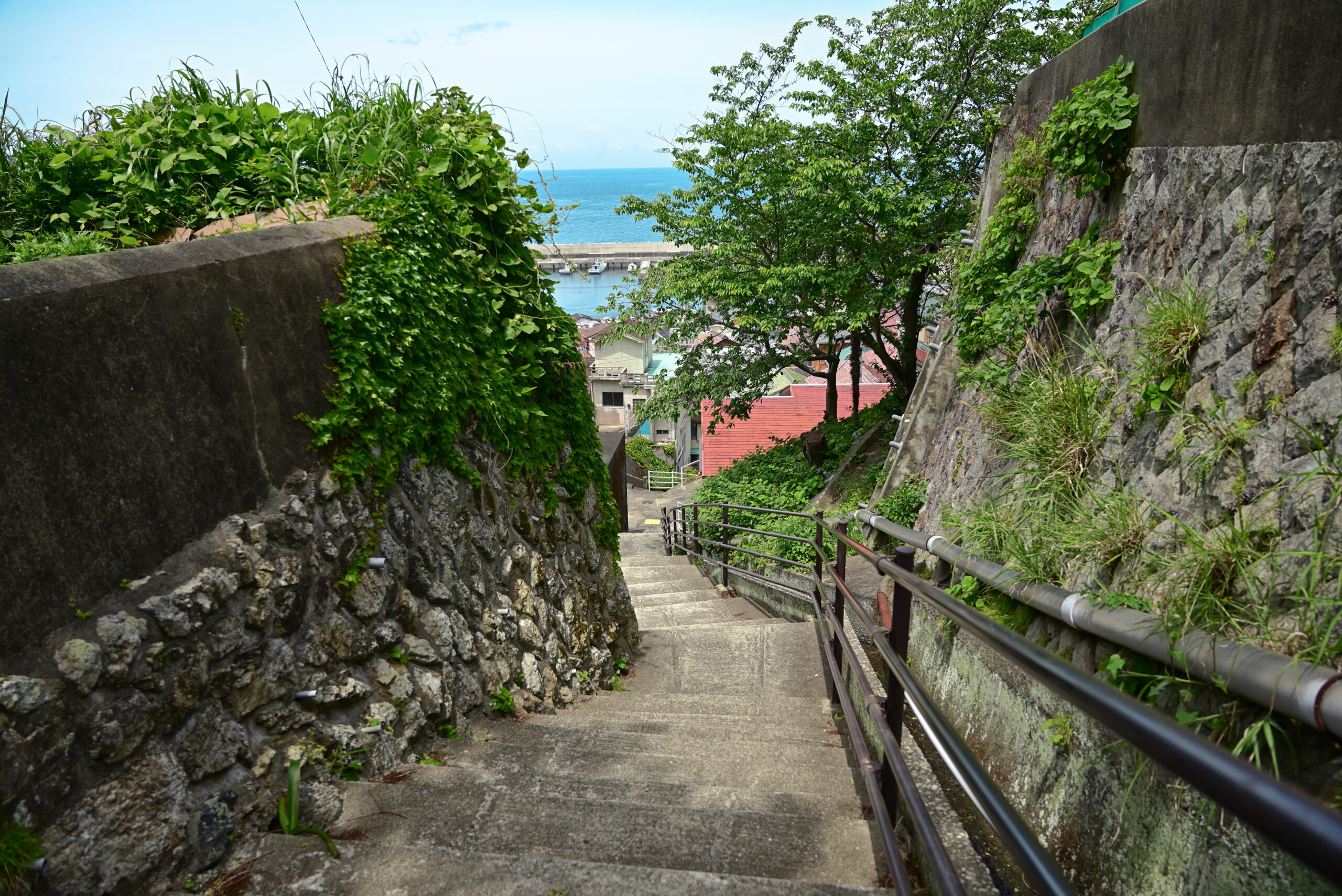 神島から望める路地