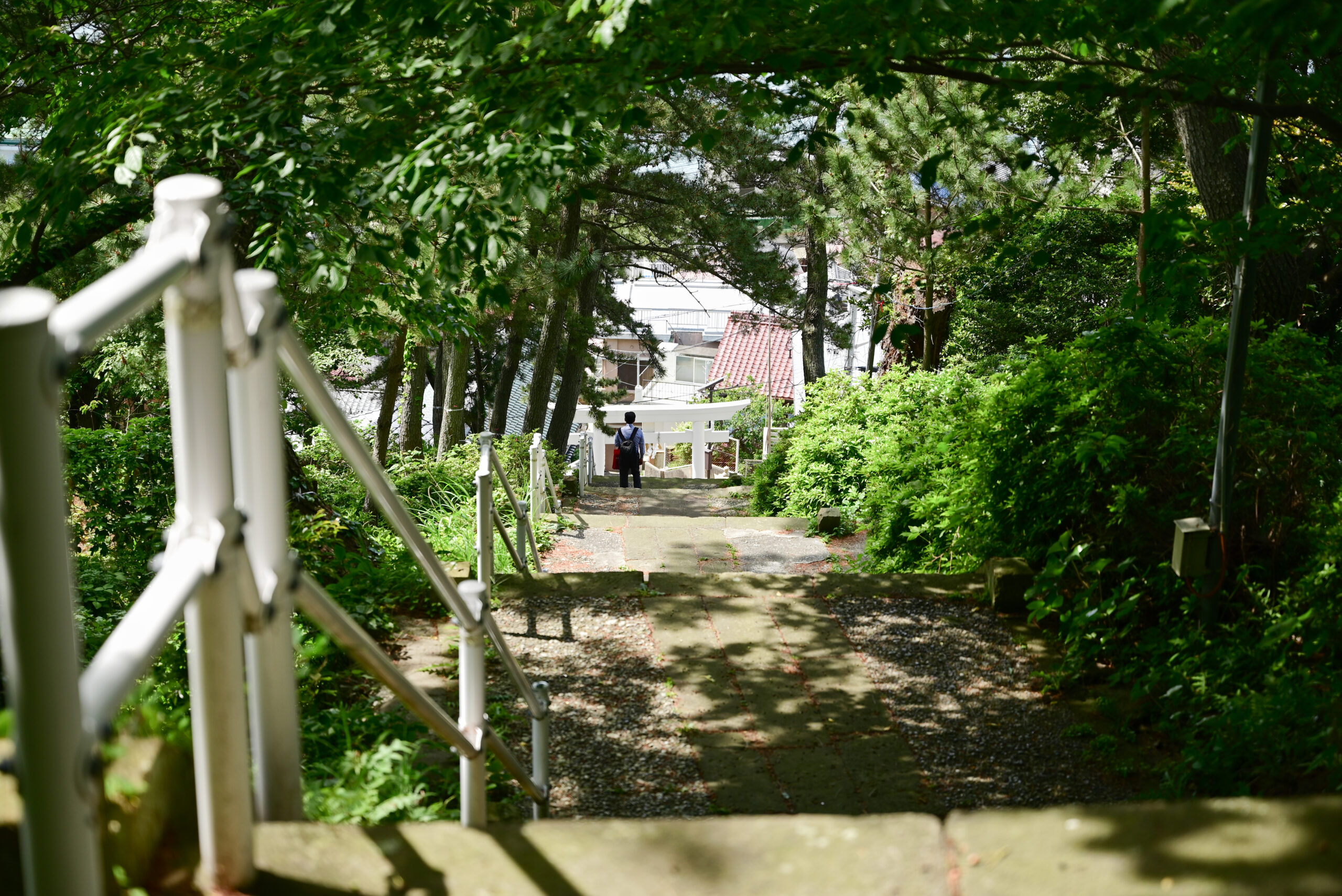 神島の八代神社の階段