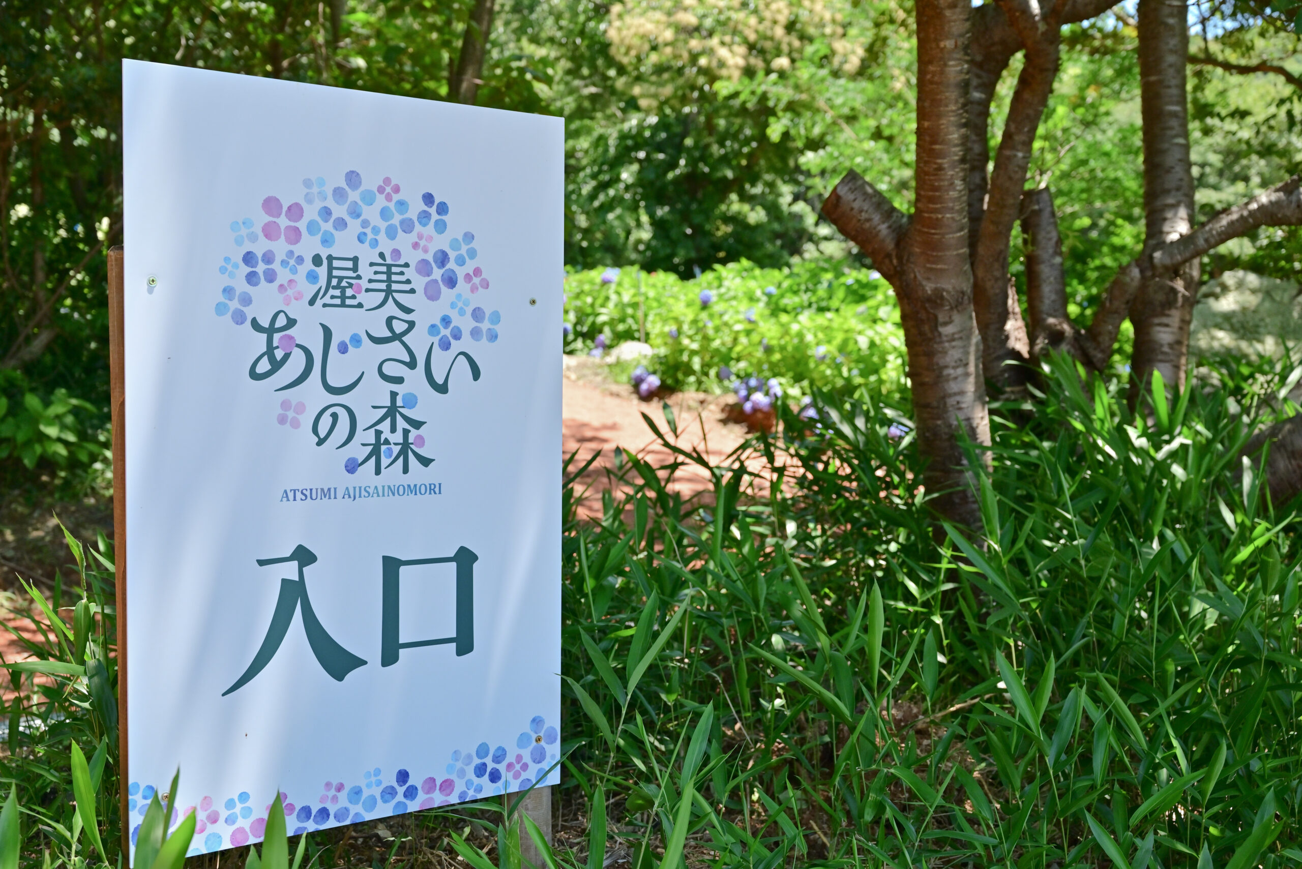 渥美あじさいの森の入り口看板