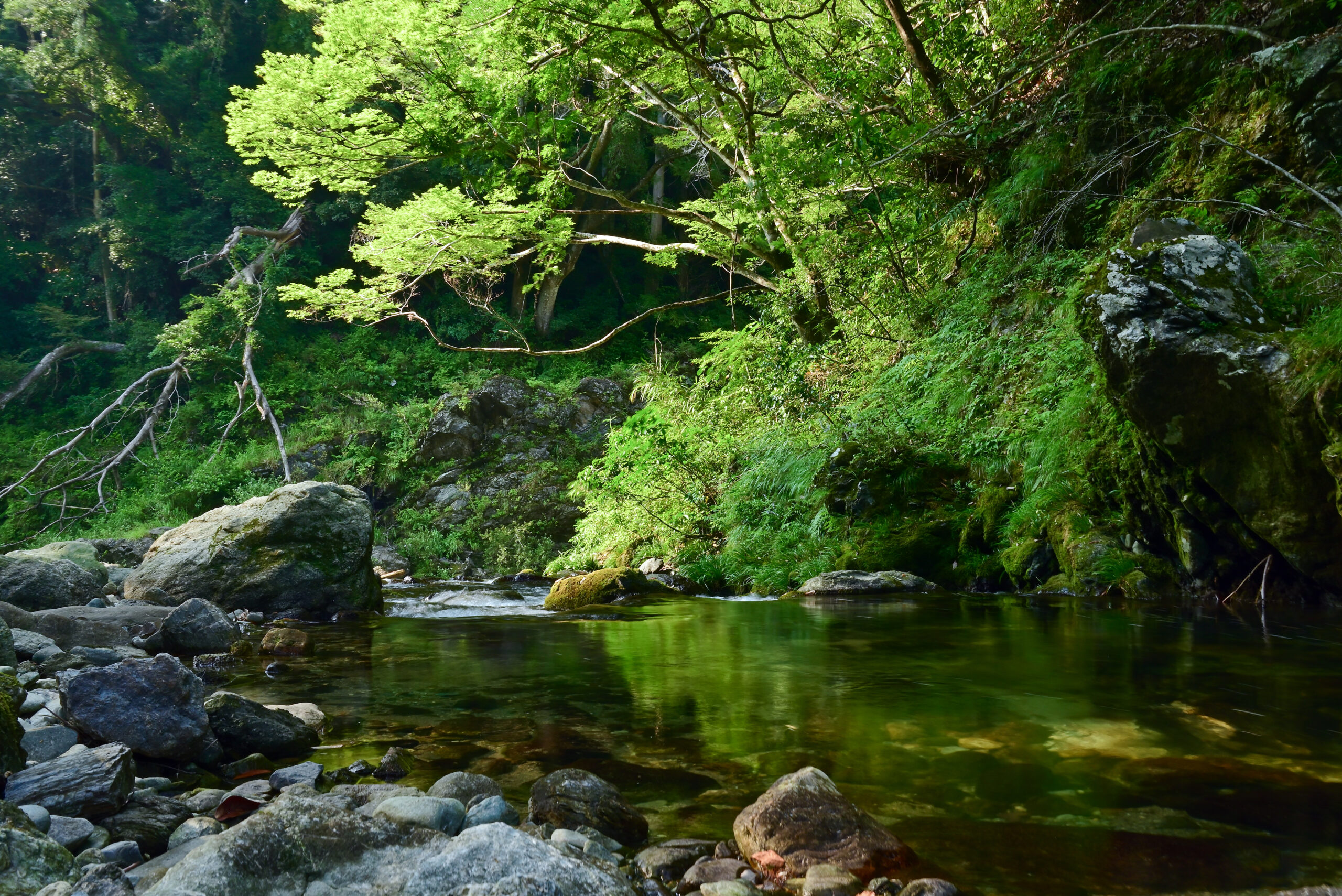 黄柳橋下の河原