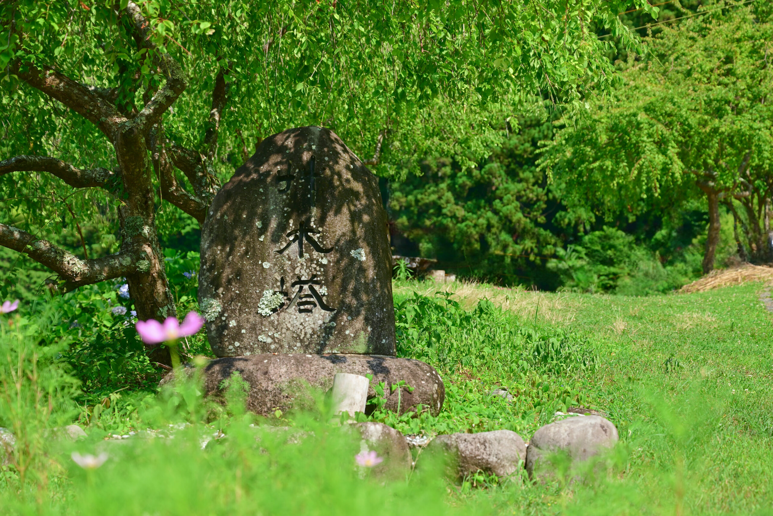 四谷の千枚田、石碑