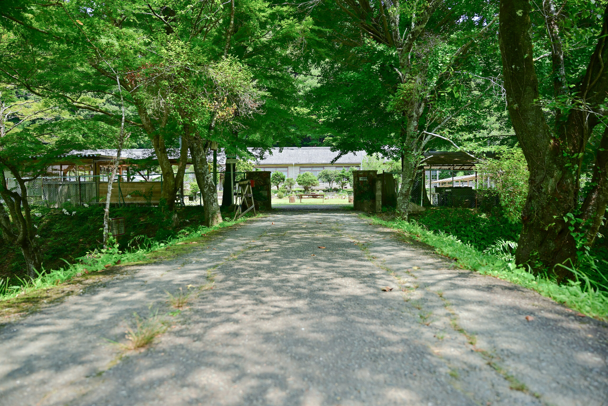 旧門谷小学校入り口